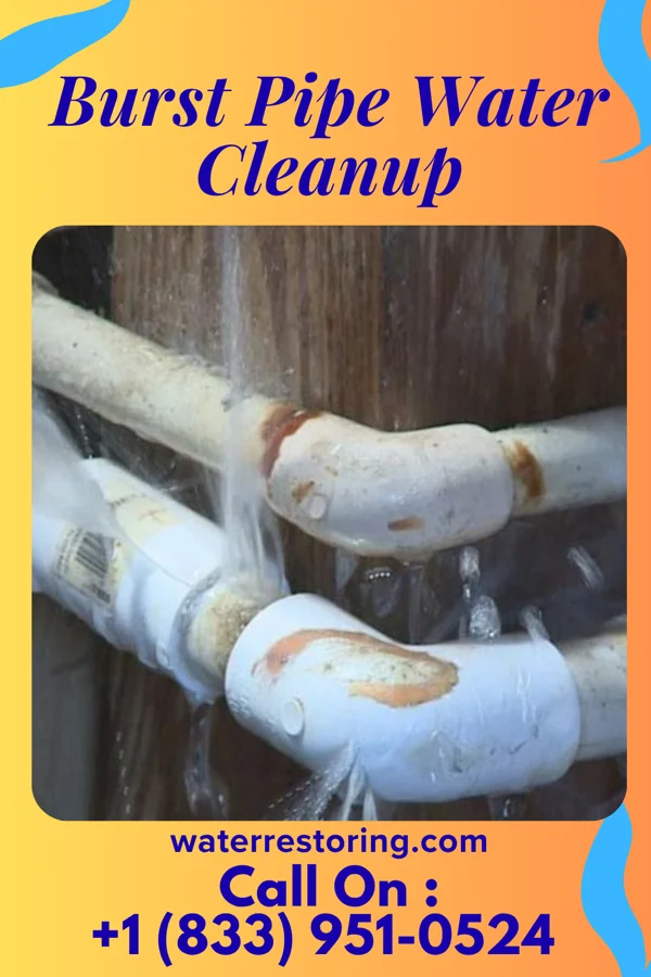 Burst Pipe Water Cleanup in Brocket, ND