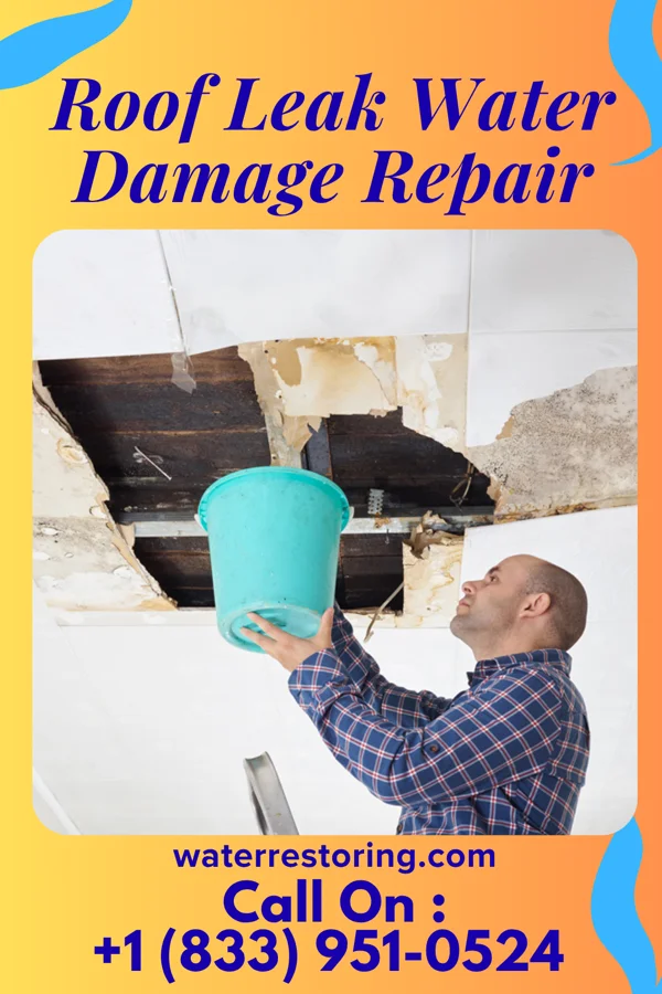 Roof Leak Water Damage Repair in Brocket, ND