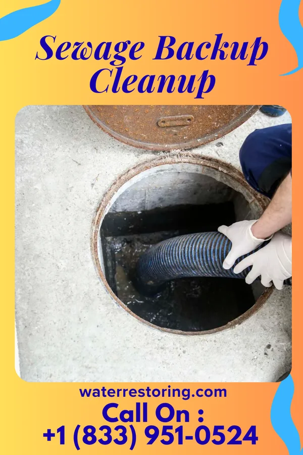 Sewage Backup Cleanup in Brocket, ND
