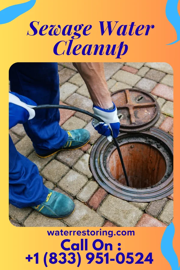 Sewage Water Cleanup in Brocket, ND
